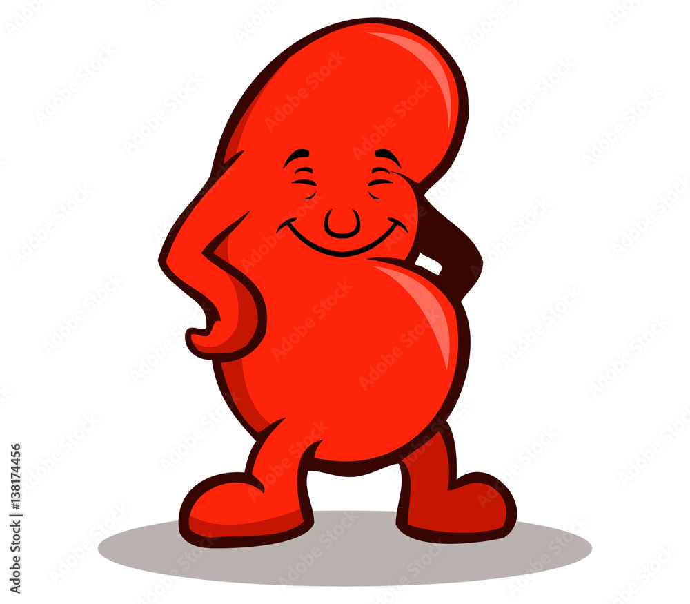 Obraz premium Happy Kidney