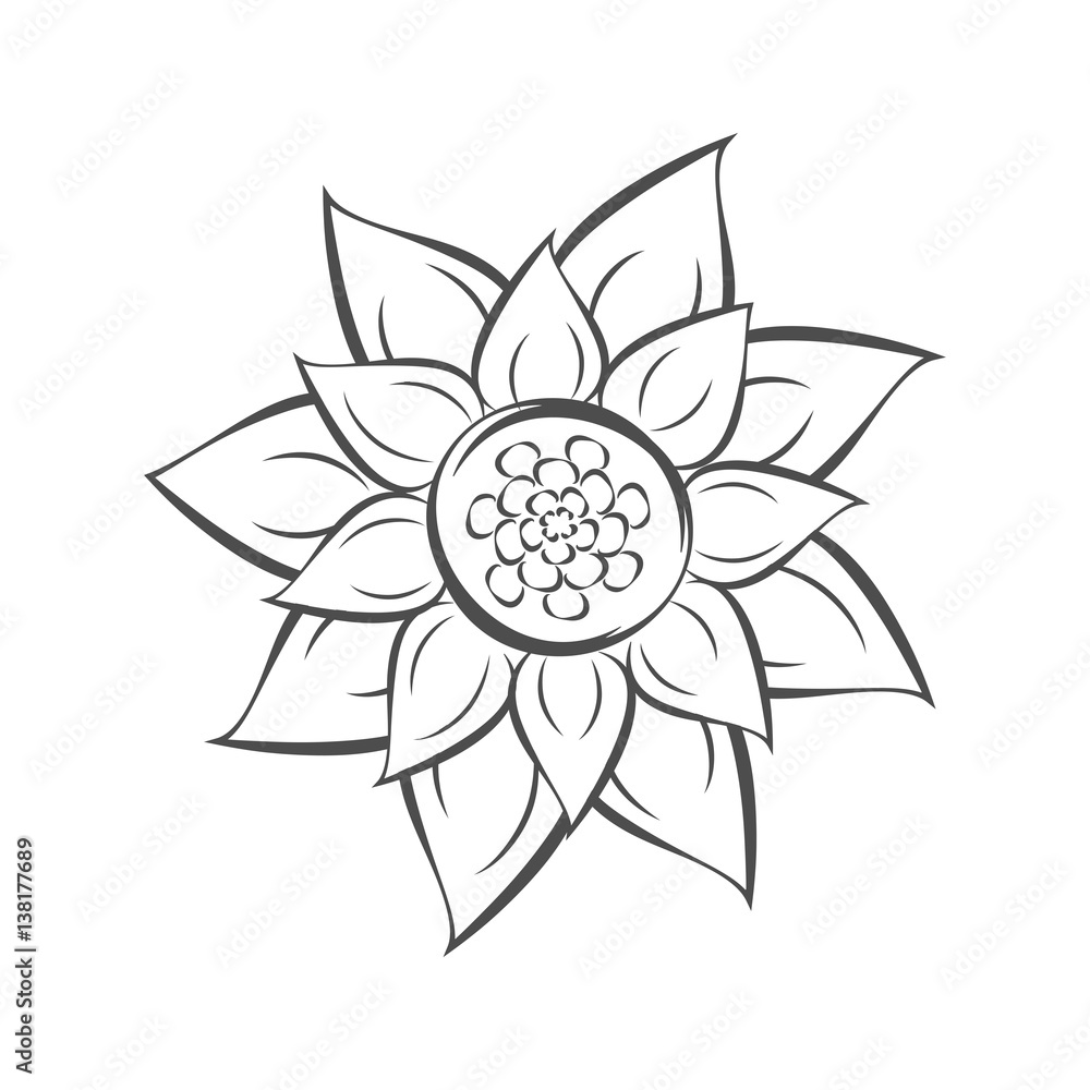 Spring sunflower. Spring sunflower.