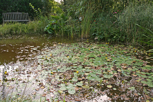 Gartenteich photo