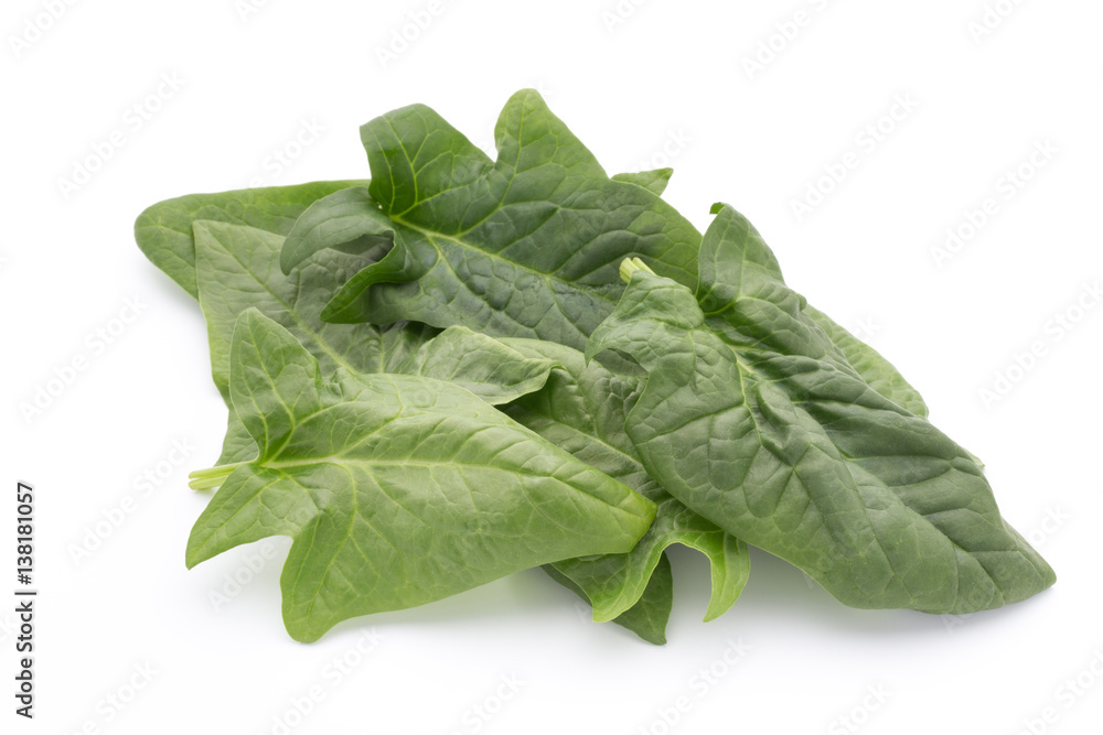Fresh leaves of spinach on the white background. Fresh leaves of spinach on the white background.