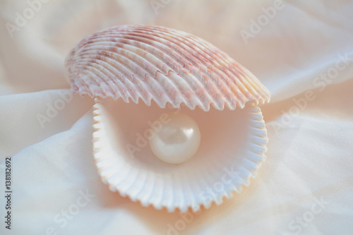 shell with pearl