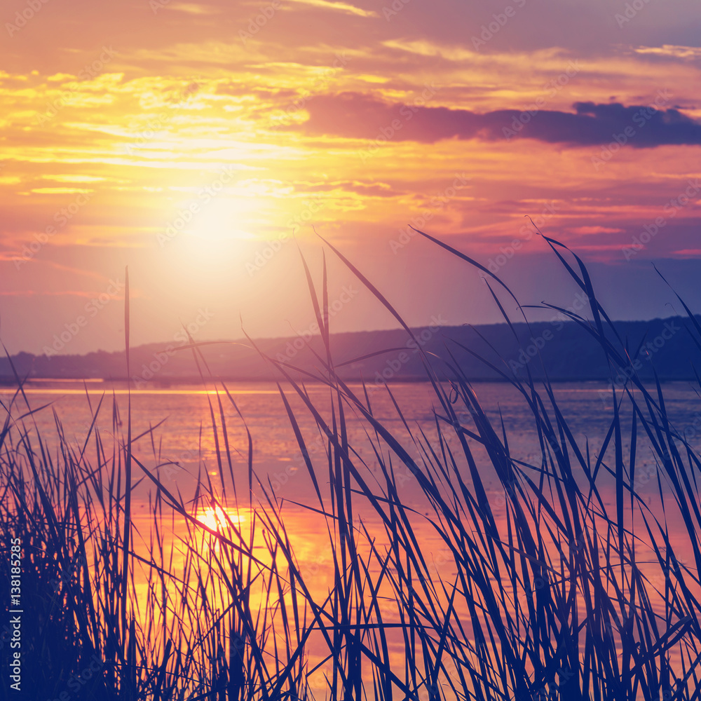 majestic sunset over the lake. overcast clouds in the sky , grass in sunlight. instagram filter majestic sunset over the lake. overcast clouds in the sky , grass in sunlight. instagram filter