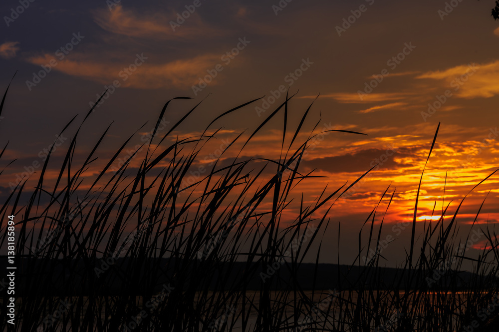 majestic sunset over the lake. overcast clouds in the sky , gras