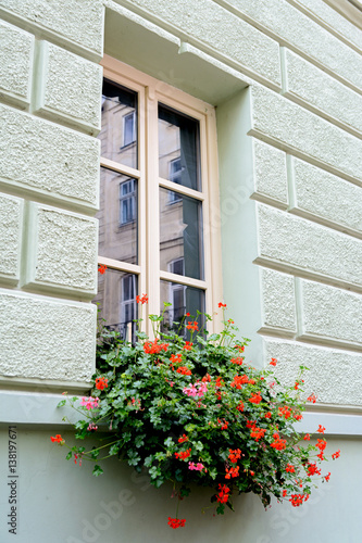 Fototapeta Naklejka Na Ścianę i Meble -  Street Window with flowers