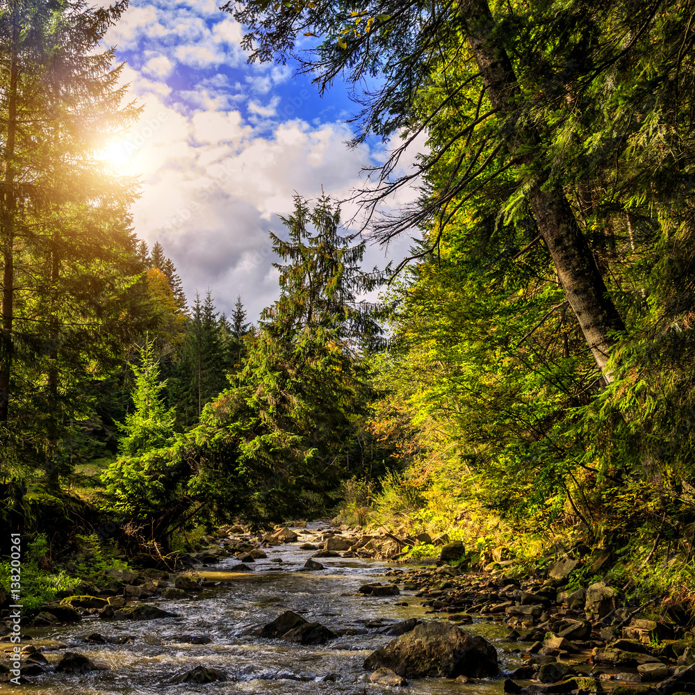 Obraz premium Wonderful autumn landscape. colorful leaves on the trees glowing in sunlight over the mountain river at sunny day in the forest