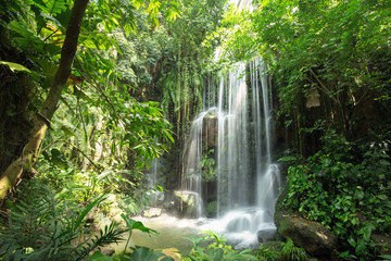 Wandcirkels Watervallen Waterval in tropische jungle  © Yan