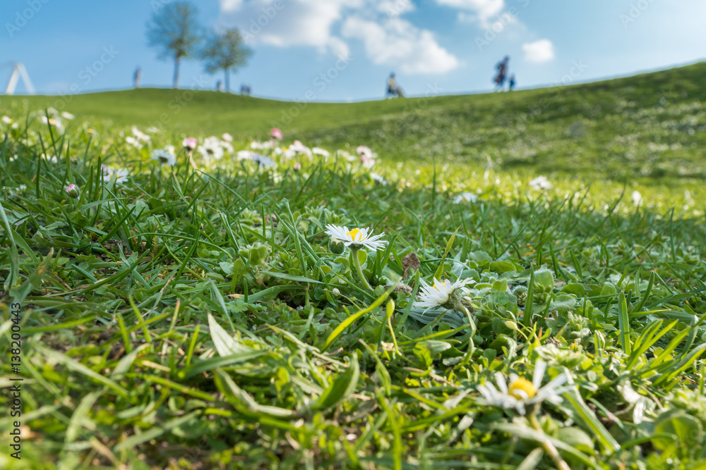 Fototapeta premium Frühlingsgefühle erwachen