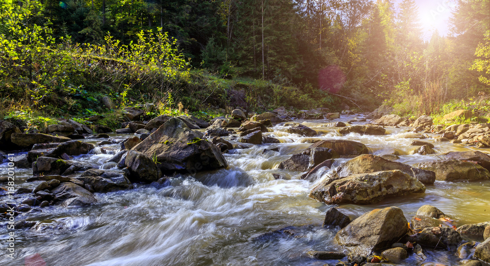 Obraz premium Wonderful autumn landscape. mountain river in summer with stream and high water in forest