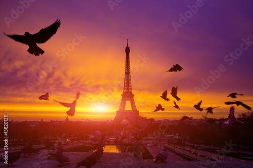 Awesome incredible pink-orange-lilac sunrise. View of the Eiffel Tower from the Trocadero. Birds doves flying in the foreground. Beautiful cityscape in backlit morning sunbeam. Paris. France. © Sodel Vladyslav