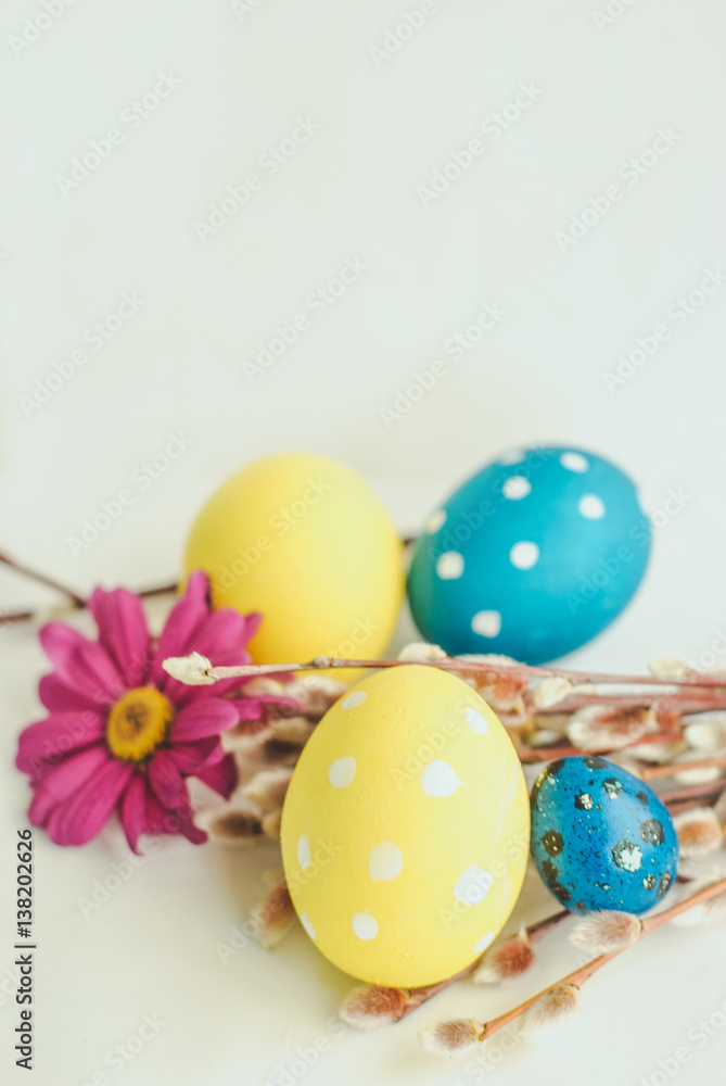 Easter eggs, spring flowers and willow on white background