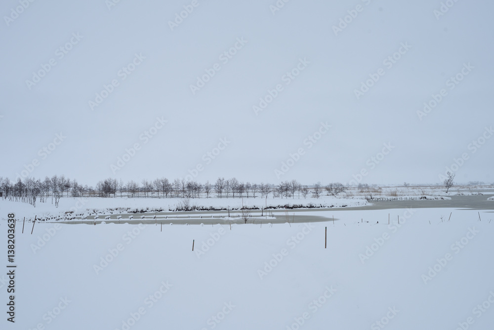 Fototapeta premium 冬景色
