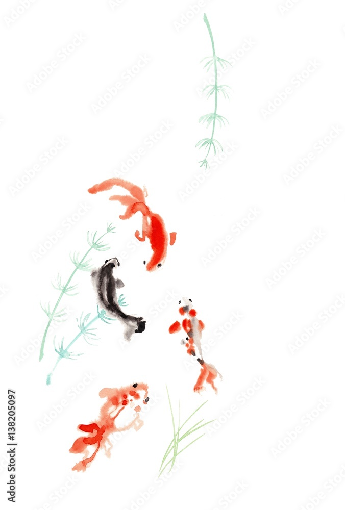 金魚 黒と赤 水草 Stock イラスト Adobe Stock 金魚 黒と赤 水草 Stock イラスト Adobe Stock