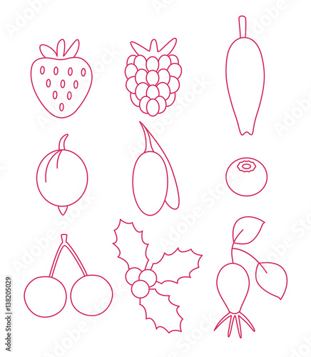 Berry icons