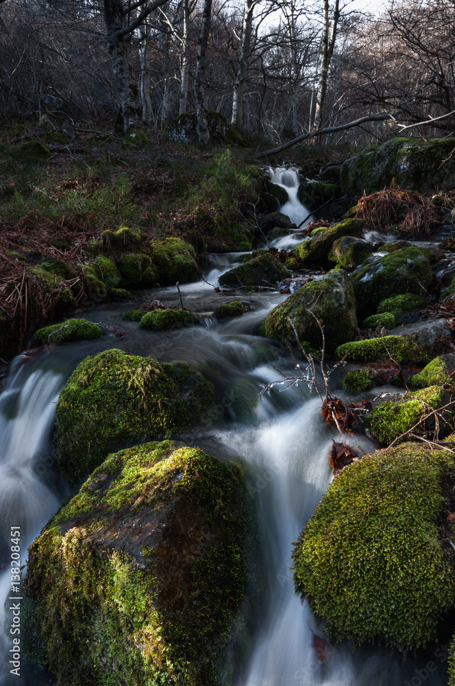 Obraz premium waterfalls in the stream