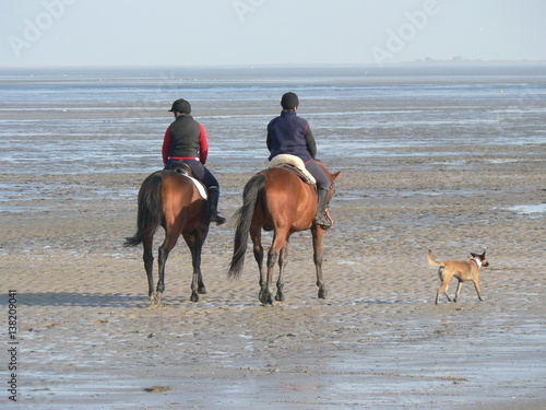 reiten mit pferden am strand