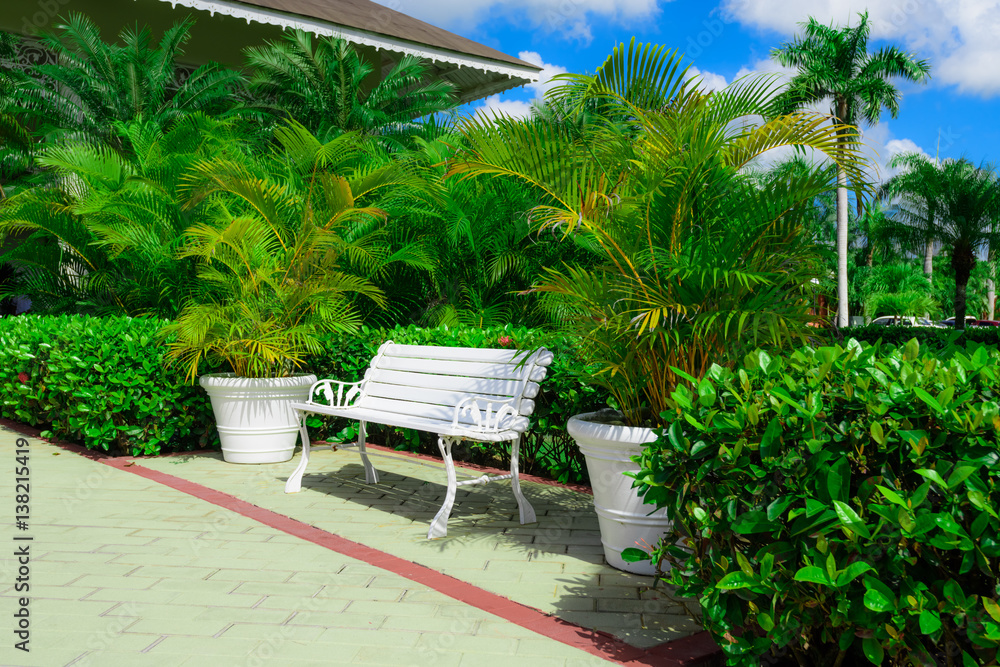 Obraz premium area hotel dominican republic green lawn with palm tree