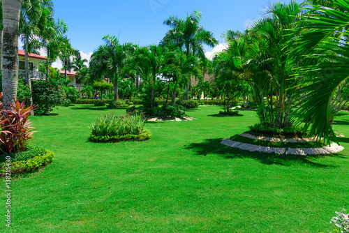 Fototapeta Naklejka Na Ścianę i Meble -  area hotel dominican republic green lawn with palm tree