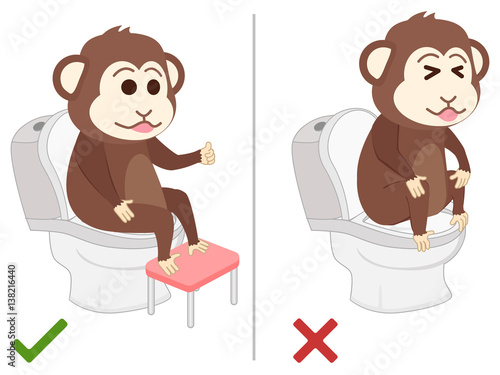 Monkey feel good and bad practice in use toilet.
