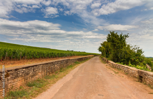 Country road between old vineyards in Burgundy