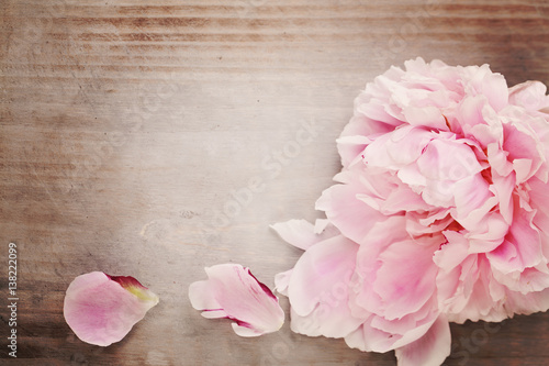 Obraz na płótnie miłość kwitnący lato kwiat retro