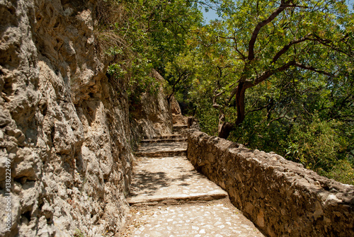 Old stone stairs in the forest