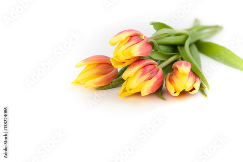Bouquet of orange yellow tulips on a white background, isolated with copy space. Greeting card.