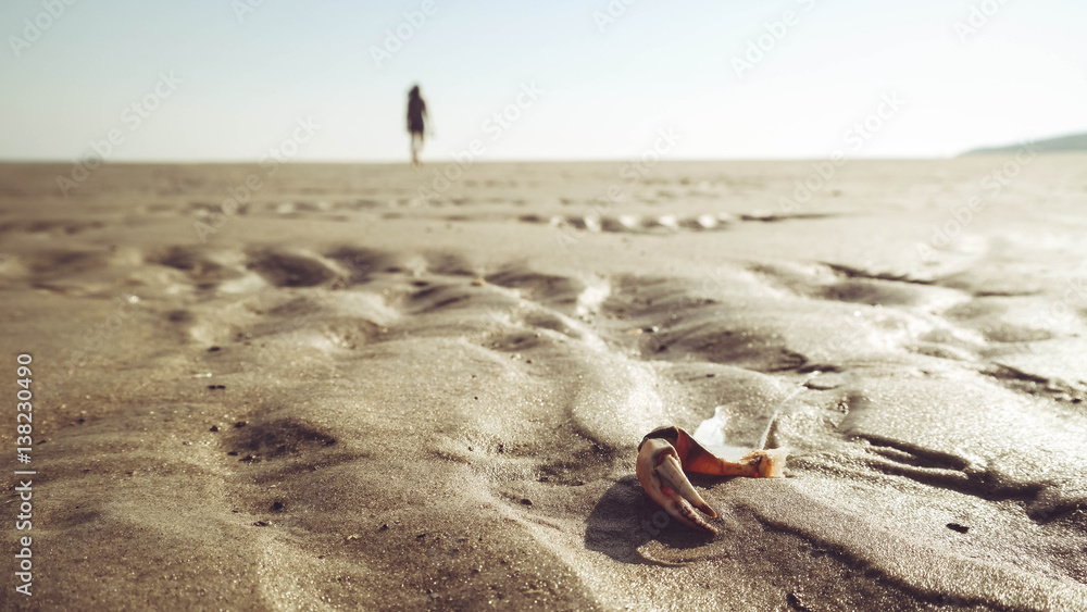 Beach with crab shear