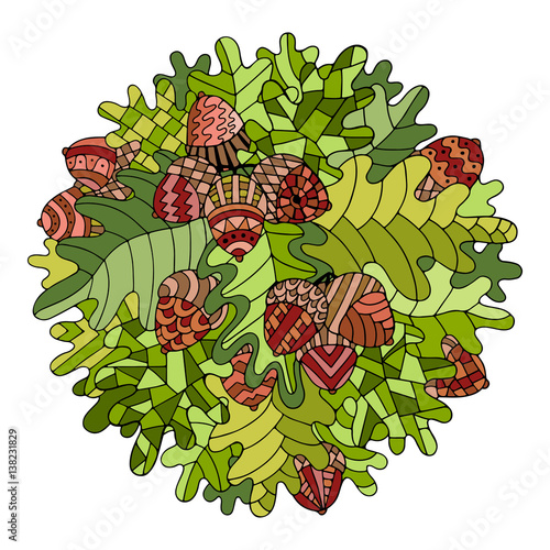 Colorful circle floral ornament with oak branch, leaves and acorns in gypsy style.