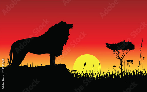snarling lion on a rock