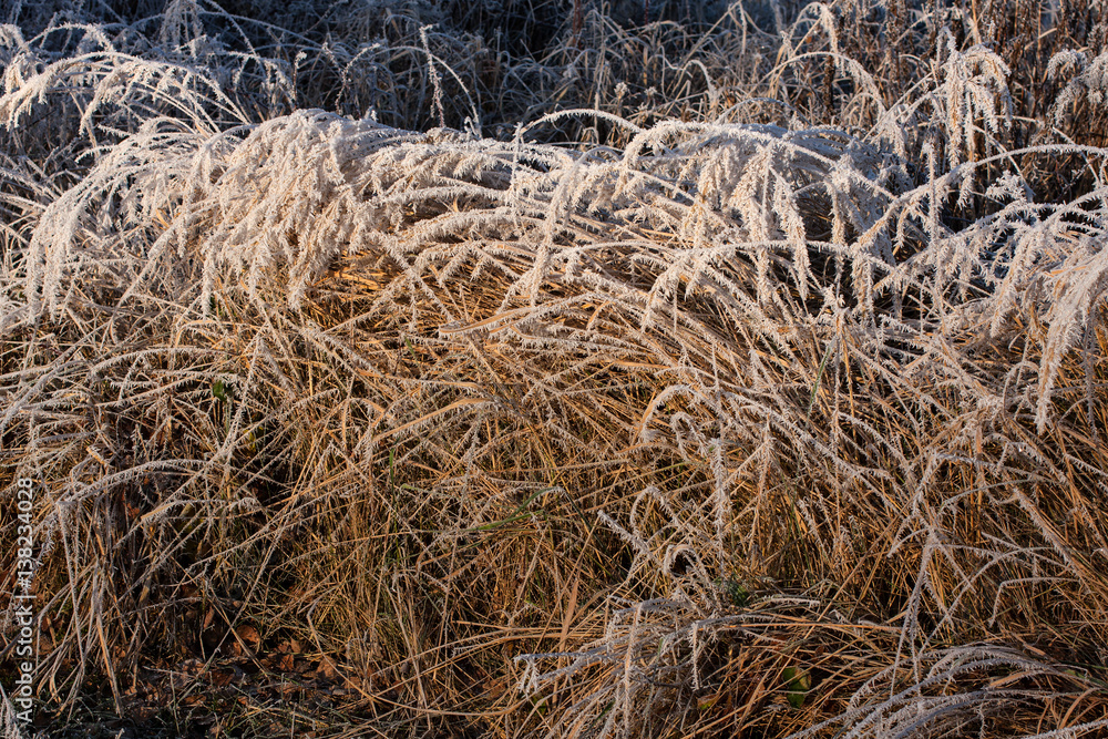 Raureif – märchenhafte Winterstimmung Raureif – märchenhafte Winterstimmung
