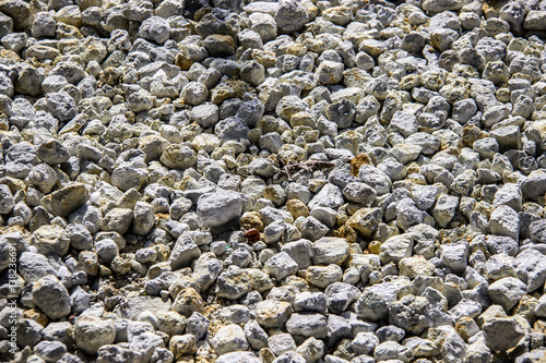  Stones lying on the ground