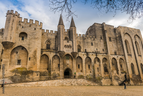 Принти на полотні Palais des Papes à Avignon, Vaucluse, Provence, France