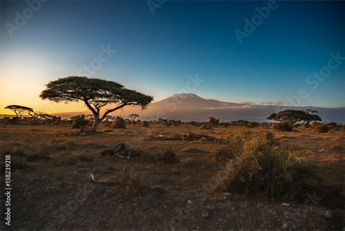 Sunrise over Mt. Kilimanjaro, Amboseli National Park, Kenya, East Africa