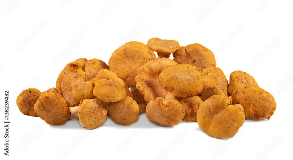 Fototapeta premium Heap of chanterelle mushrooms on white background.