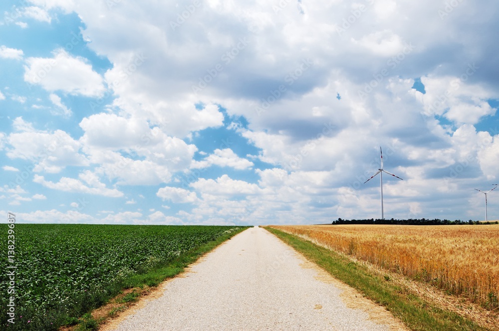 Countryside unpaved road between the fields Countryside unpaved road between the fields