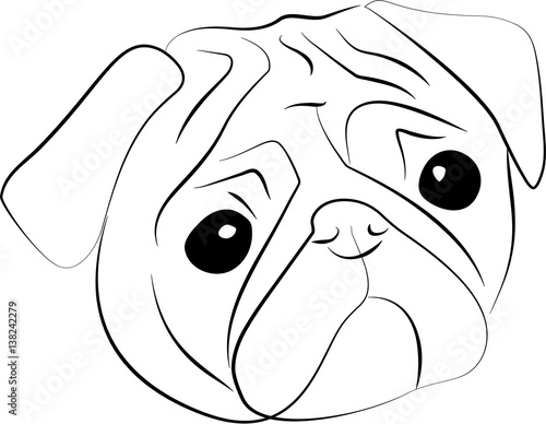 Vector sketch of  pug-dog
