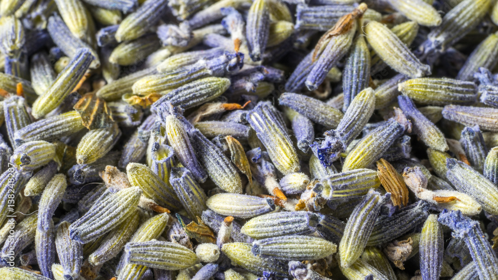 Dry Lavender Dry Lavender