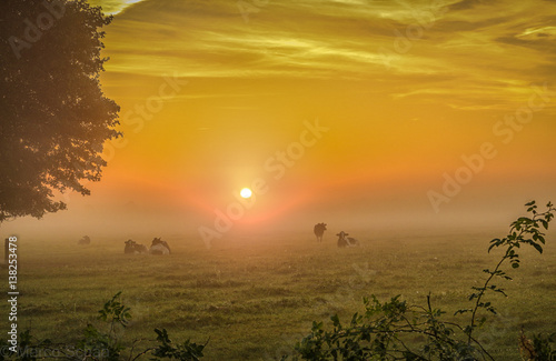 Früh morgens in Ostfriesland