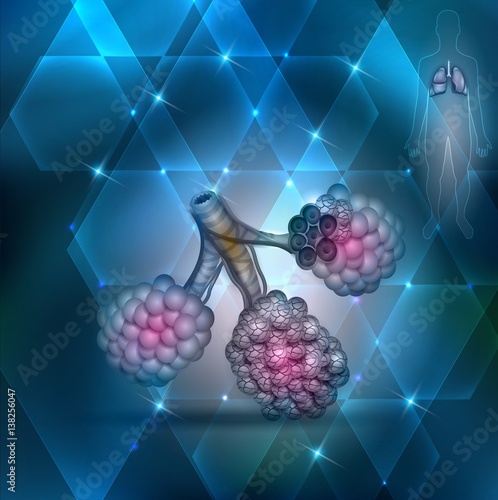 Alveoli anatomy, a part of the respiratory system on an abstract blue background