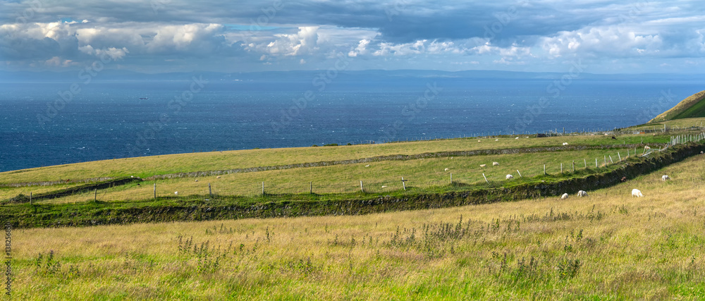 North Devon coast. Pastures by the sea. Long fence separates farmland. National park Exmoor. UK