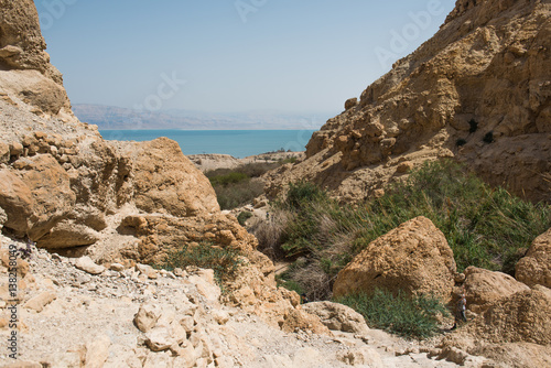Ein Gedi Oasis, National reserve park, Dead sea, Israel