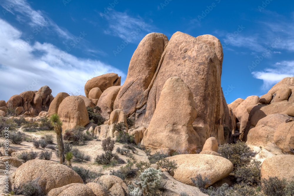 Spectacular Rock Formations at Joshua Tree