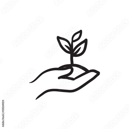 Hands holding seedling in soil sketch icon.