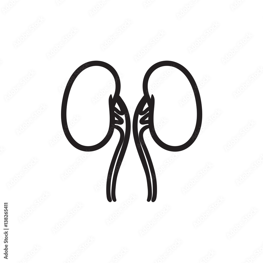 Kidney sketch icon. Kidney sketch icon.
