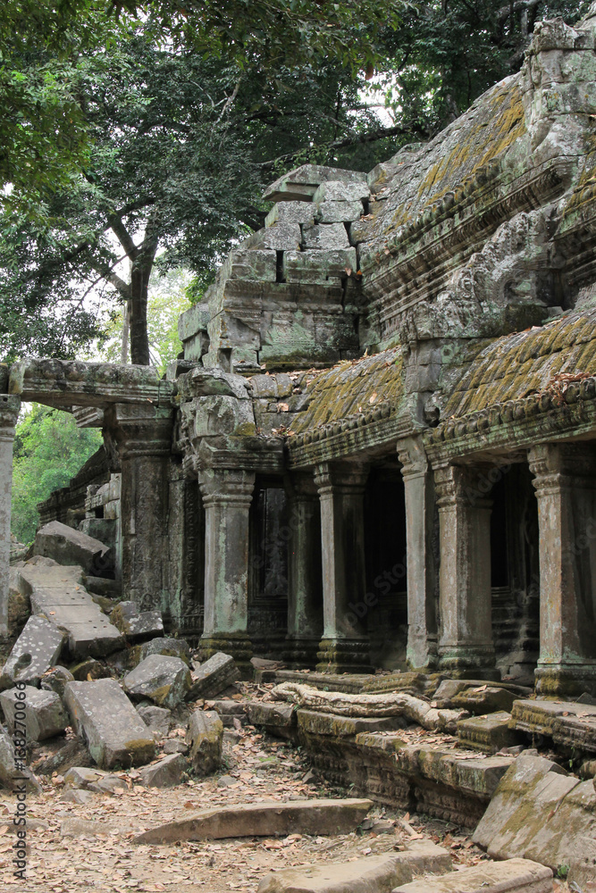 Ruins of Ta Prohm temple at Angkor Wat