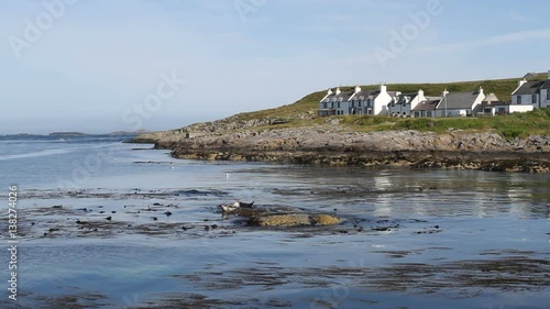 Seals and Portnahaven waterfront Isle of Islay Scotland
