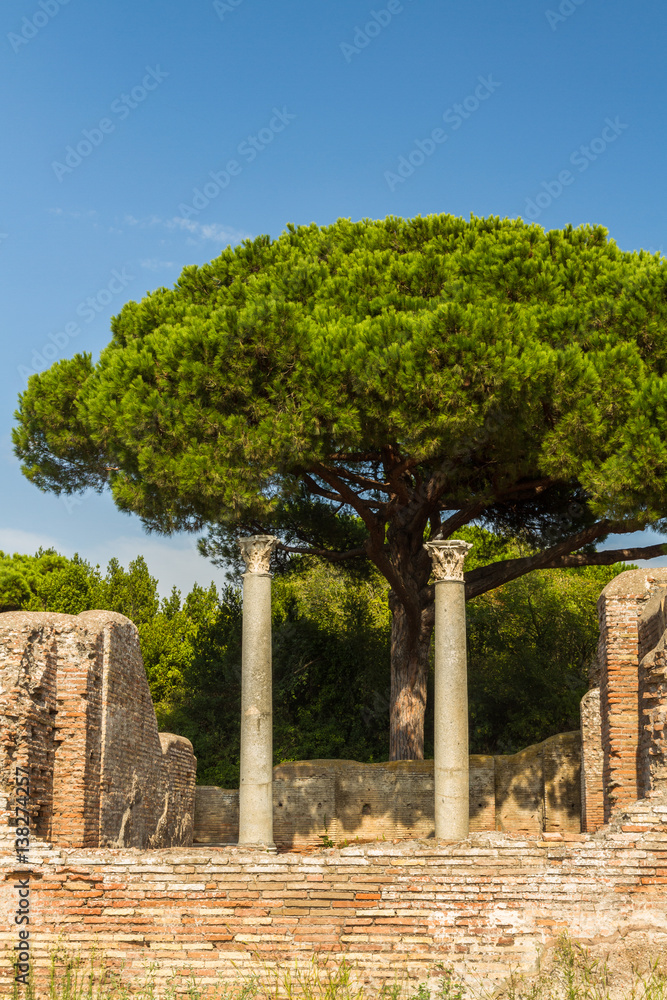 Roman pillars at Ostia Antica Italy with Stone pine or Pinus pinea.