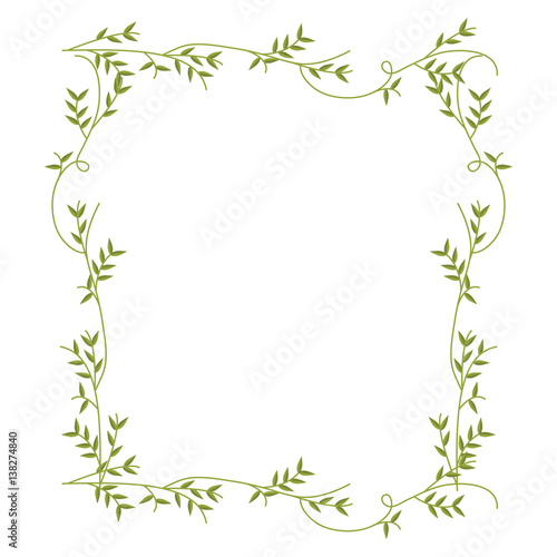 frame with green creepers nature design vector illustration