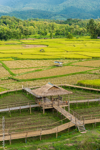 Bamboo walkway rice terraces on mountain in Nan Province  northern of Thailand.