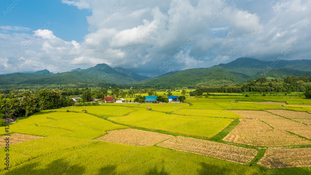 Obraz premium Rice terraces on mountain in Nan Province, northern of Thailand.
